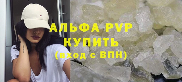 спиды Новодвинск
