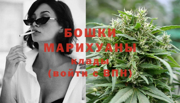 спиды Новодвинск