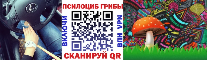 Псилоцибиновые грибы Cubensis  Темрюк 