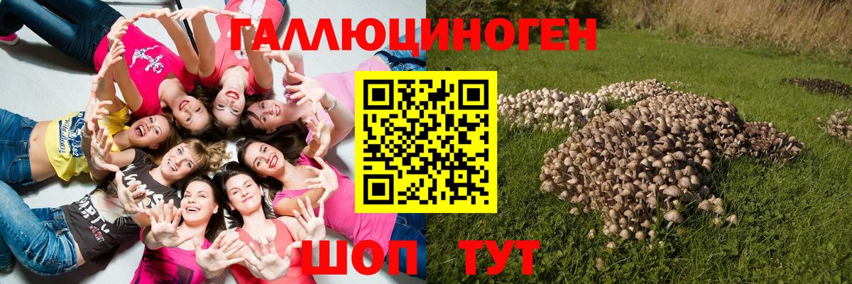 Галлюциногенные грибы Psilocybine cubensis  Вход с VPN  Темрюк  Псилоцибиновые грибы Cubensis 