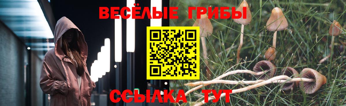 Галлюциногенные грибы мицелий Темрюк
