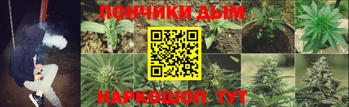Бошки марихуана MAZAR  Бошки Шишки план  Темрюк  Вход с VPN  Конопля ГИДРОПОН 